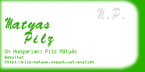 matyas pilz business card